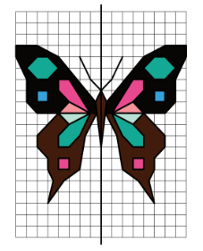 Exemple de symétrie axiale avec un papillon